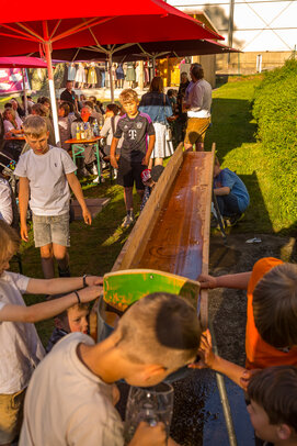 Thumbnail: _JA 31781 Maifest Hohenried 2026.jpg